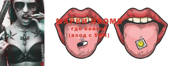 прущие грибы Богданович
