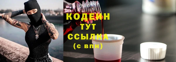 прущие грибы Богданович