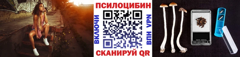 МЕГА зеркало  Белорецк  Галлюциногенные грибы Cubensis 